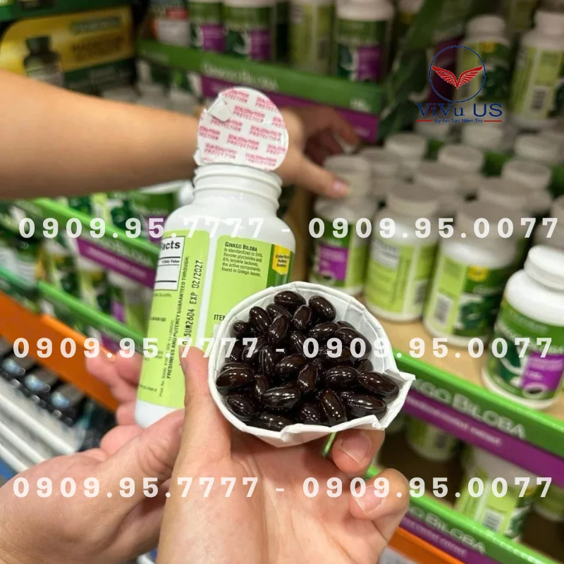 Bổ Não Ginkgo Biloba