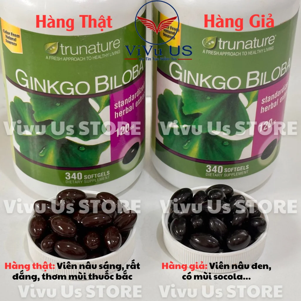 Phân Biệt Ginkgo Biloba Thật Va Giả Mới Nhất