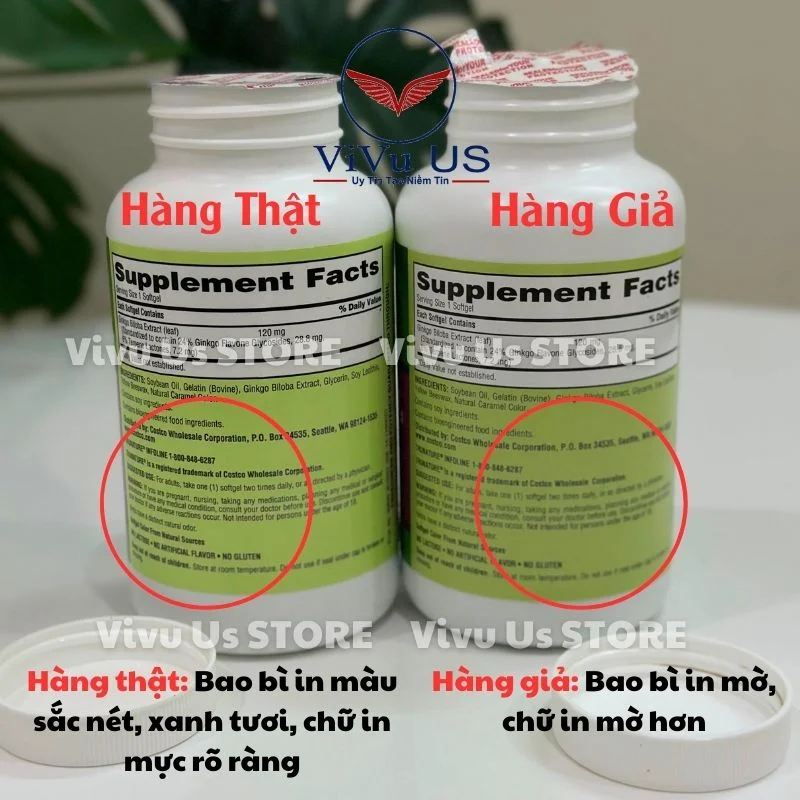 Phân Biệt Hàng Thật Hay Giả Ginkgo Biloba Mỹ 2024