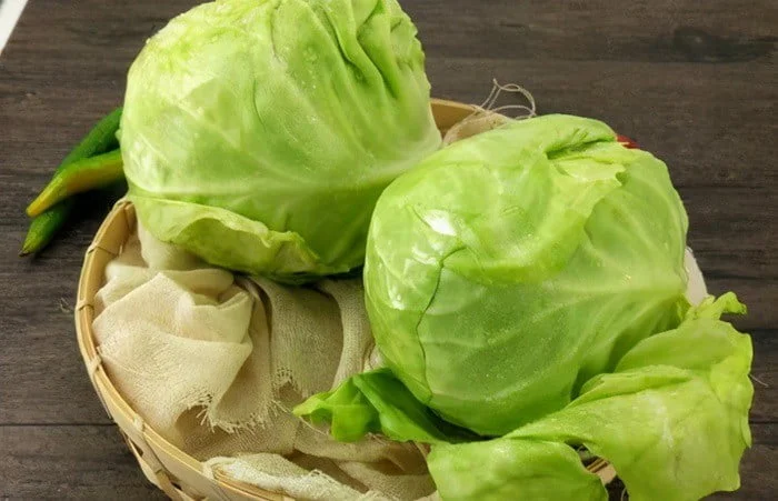Bắp Cải