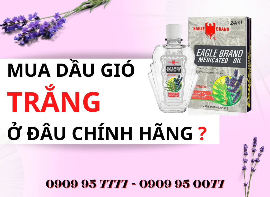 Mua Dầu Gió Trắng ở đâu Chính Hãng