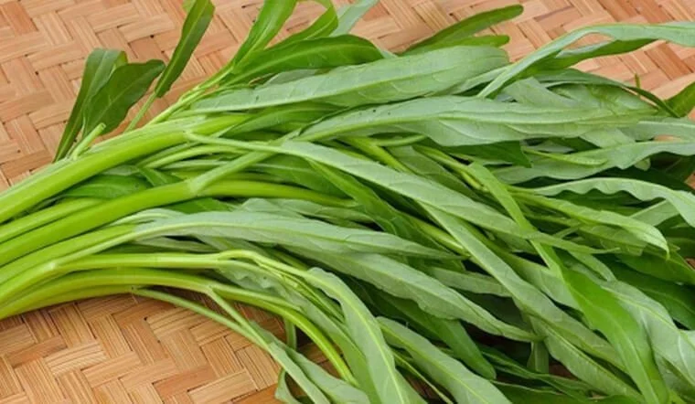 Tuyệt đối kiêng rau muống khi đau xương khớp