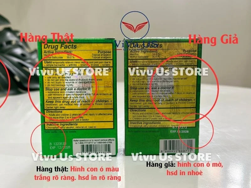 Logo Dầu Xanh 2 Nắp